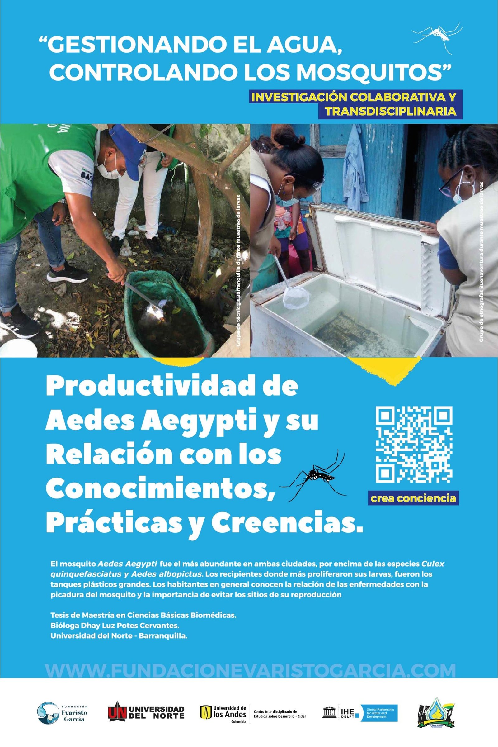 FEG-Proyecto-Mosquitos-Accion